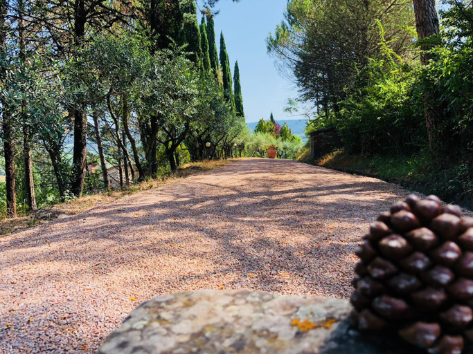 Others 5, Agriturismo Borgo Il Bonagino, Siena