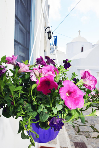Others 4, Thomas Traditional House in Chora, South Aegean