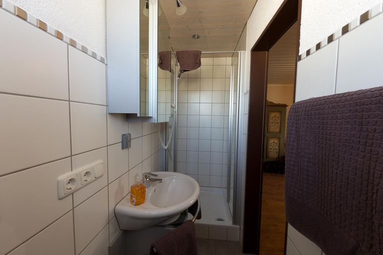 Bathroom 3, Dreimaderlhaus - Das vegetarische Boutique Hotel, Ostallgäu