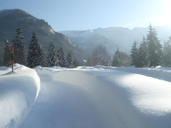 Others 5, Bergheim, Schwaz