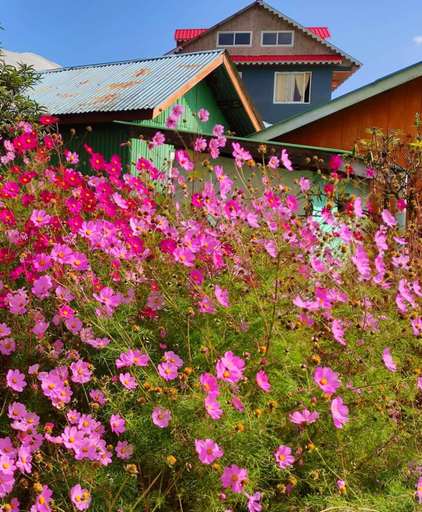 Others 4, Neoravalley Homestay, Icche Gaon, Darjiling