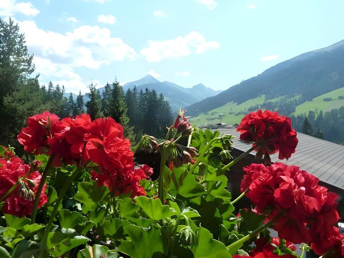 Others 5, Gastehaus Gratlspitz, Kufstein