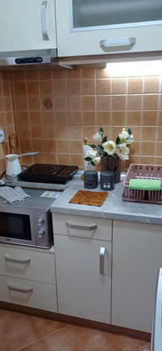 Others 4, Apartman Harmonija Vrnjacka Banja, Vrnjačka Banja