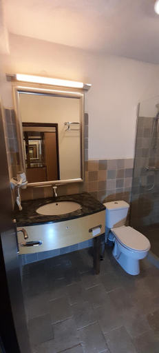 Bathroom 2, Pensiunea Energy, Capusu Mare