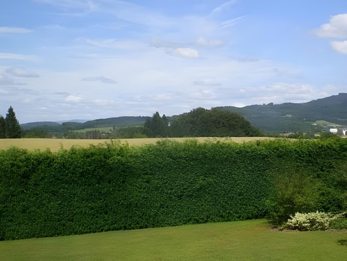 Others 4, Le Clos des Aulnes, Vosges
