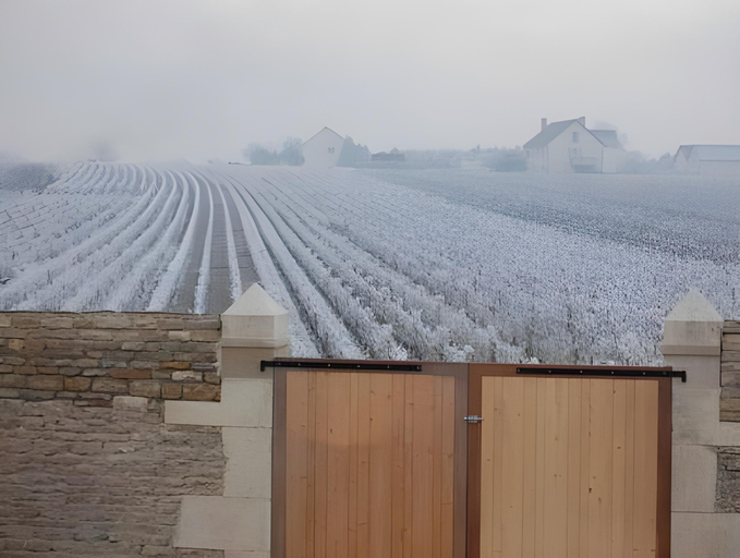 Others 3, Domaine des Closeaux, Côte-d'Or