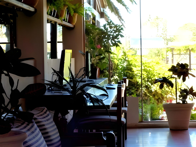 Others 5, Hotel Viola, Rocha