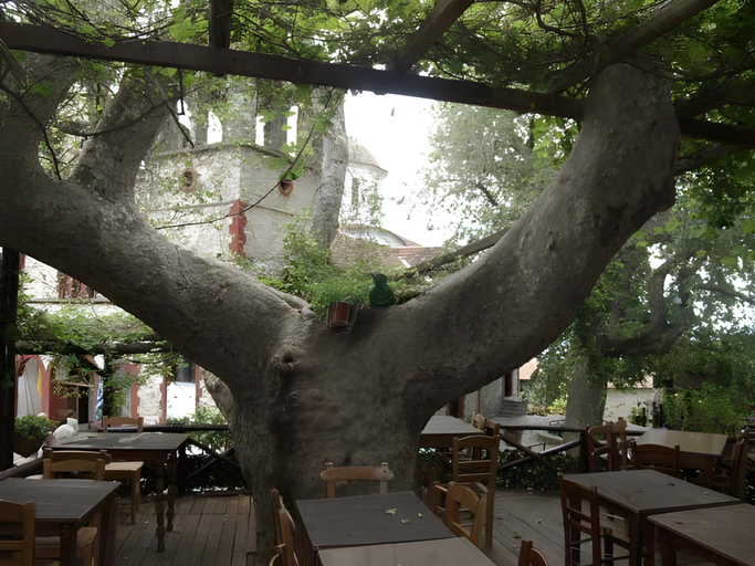Food & Drinks 3, Petrino, Central Macedonia