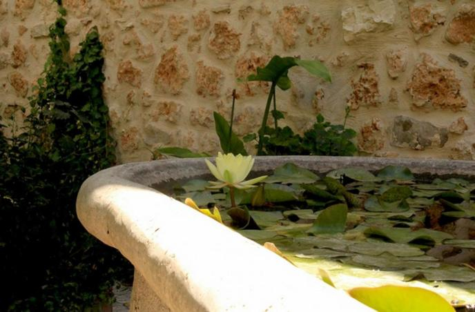 Sport & Beauty 2, Antica Corte delle Ninfee, Historical Private Villa, Trapani