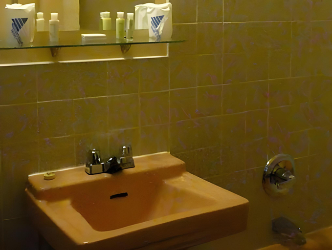 Bathroom 2, Red Top Motor Inn, Algoma