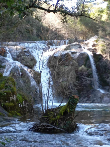 Others 5, Le Clos du Cedre, Gard