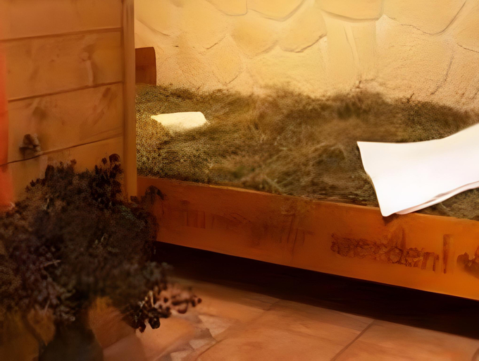 Others 4, Berghof am Schwand, Reutte