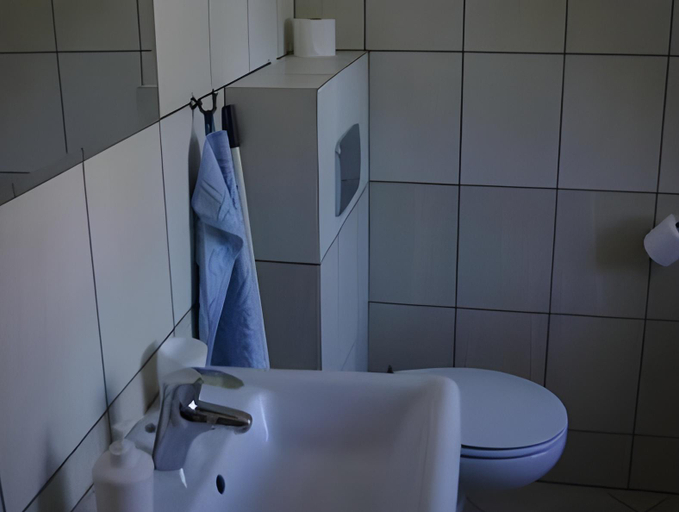Bathroom 2, Zamek w Czernej, Głogów