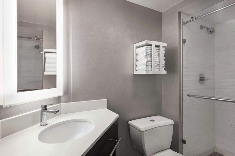 Bedroom 3, Hampton Inn Chicago-O'Hare Int'l. Airport, Cook