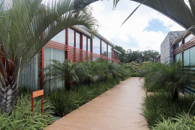 Qavi - Suite luxuosa na rua principal #IledePipa, Tibau do Sul
