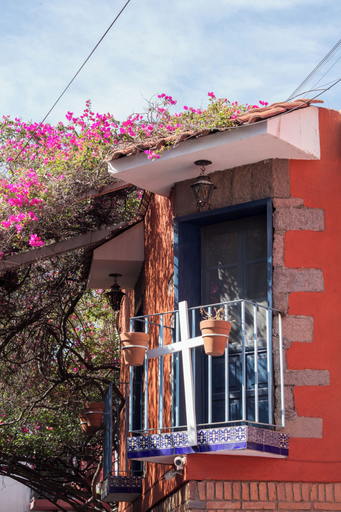 Exterior & Views 2, Hotel Posada Bugambilias, San Luis Potosí