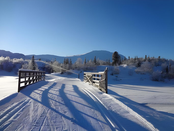 Others 4, Kvitavatn Fjellstue, Tinn