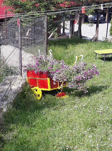Others 5, Pensiunea IO-MARA, Vatra Dornei