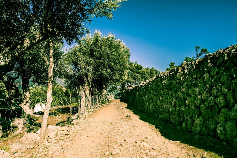 Others 5, Hostel Soller - Albergue Juvenil, Baleares