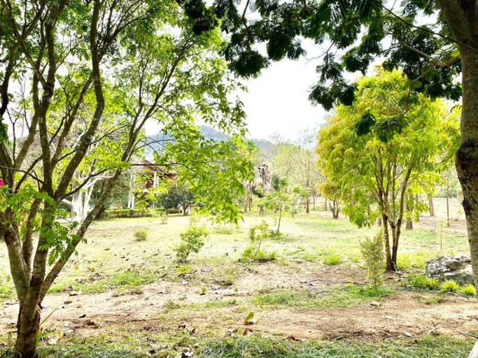 Others 5, Khum Khun Phon Resort Khao Yai, Pak Chong