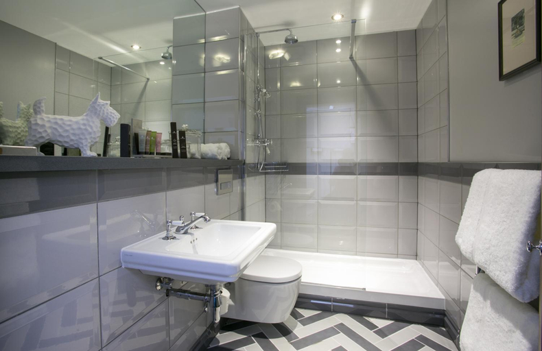 Bathroom 2, Dog and Fox, London