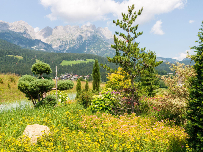 Others 4, Apartment in Ellmau with Ski-In Access, Kufstein