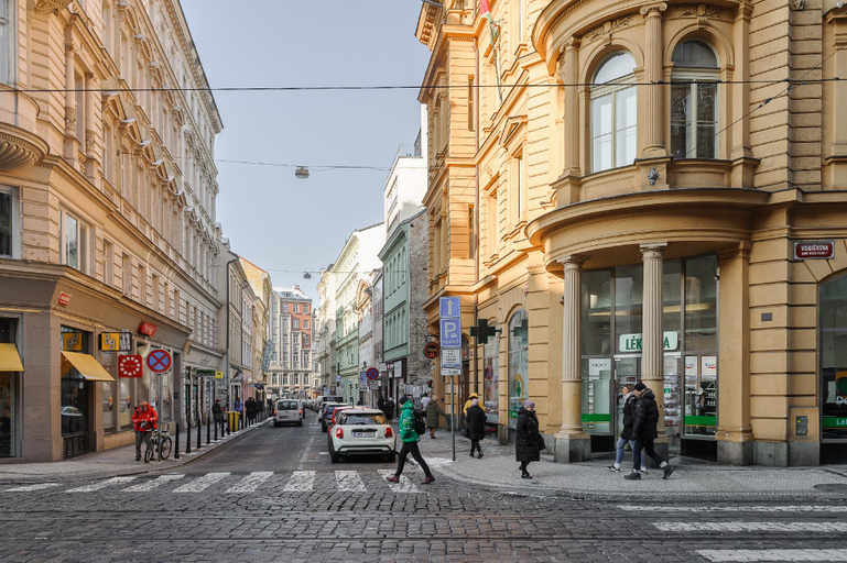 Others 4, Loft with 3 bedrooms near Karlinska Square, Praha 7