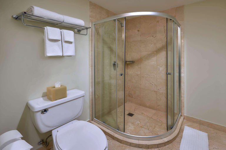 Bathroom 4, Hilton Garden Inn Mexico City Polanco, Mexico City