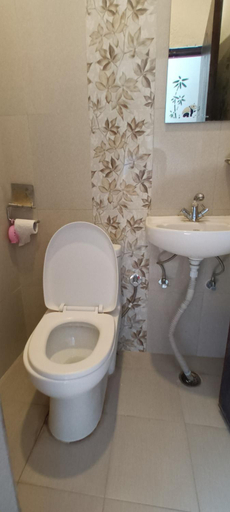 Bathroom 4, Hotel Dolly, Gandaki