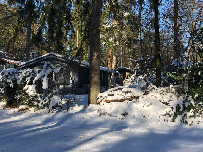 Dreamwoodz - een droomchalet op de Veluwe, Rheden