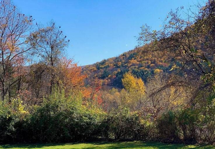Others 5, Green Acres Retreat, Delaware