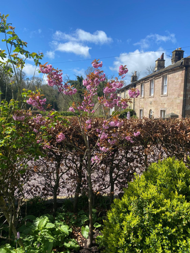 Exterior & Views 1, Rock House BNB, Derbyshire