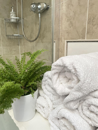 Bathroom 3, The Mount Somerton, Somerset