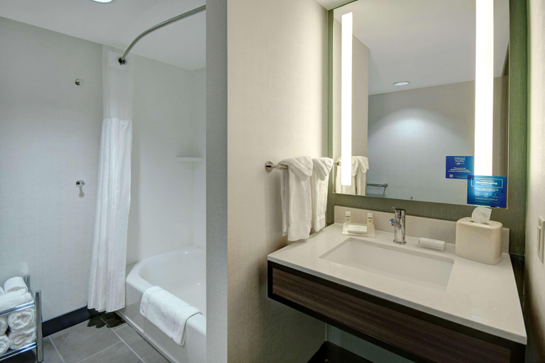 Bathroom 4, Hilton Garden Inn Terre Haute, Vigo