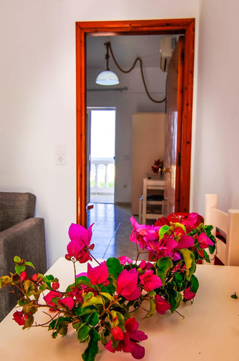 4, Irene Apartments, South Aegean