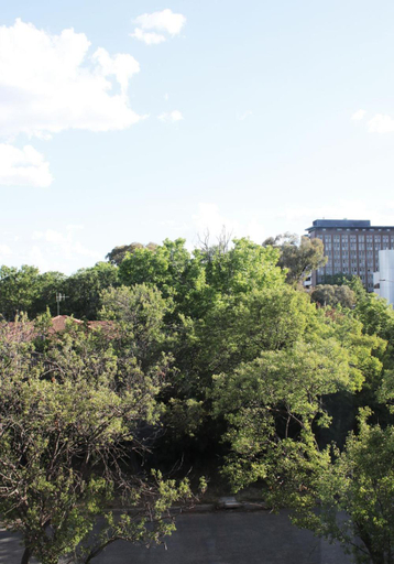 Exterior & Views 5, Green Rooms Braddon - Luxury themed micro apartments inspired by tiny home design, Canberra