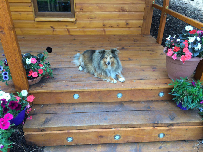 Others 4, Butterfly cabin