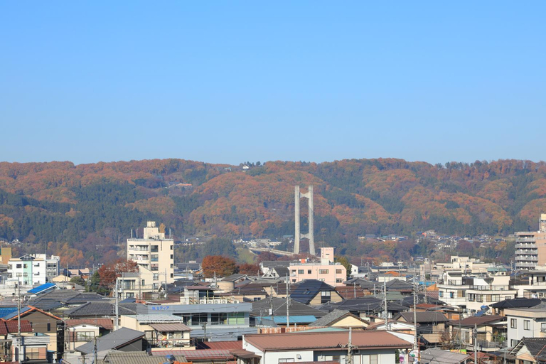 Scenery