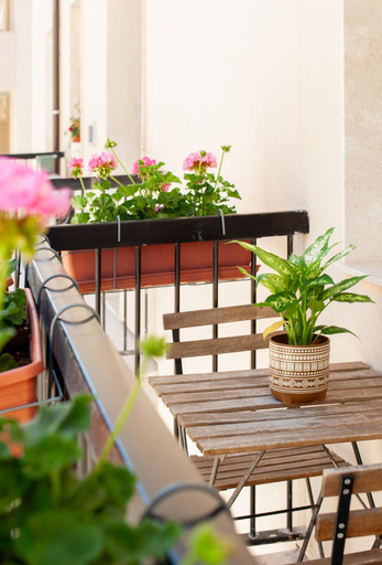 Others 4, Four Rooms Alghero, Sassari