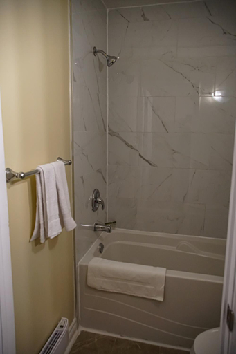 Bathroom, Skyland Motel Inn & Suites, Muskoka