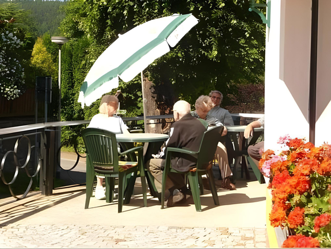 Others 3, Pension Hotel Sartor, Sächsische Schweiz-Osterzgebirge