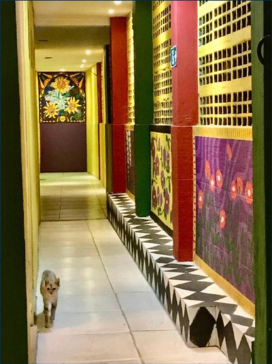 Public Area 2, Hostel Do Rasta, Salvador