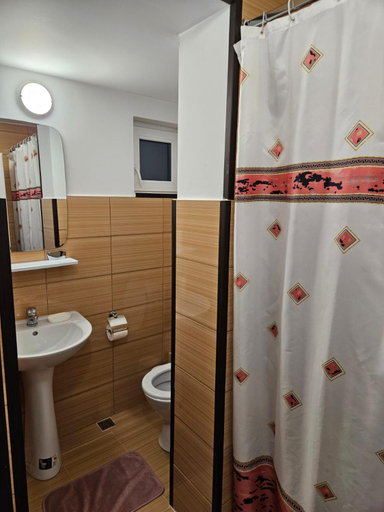 Bathroom 2, Pensiunea IO-MARA, Vatra Dornei
