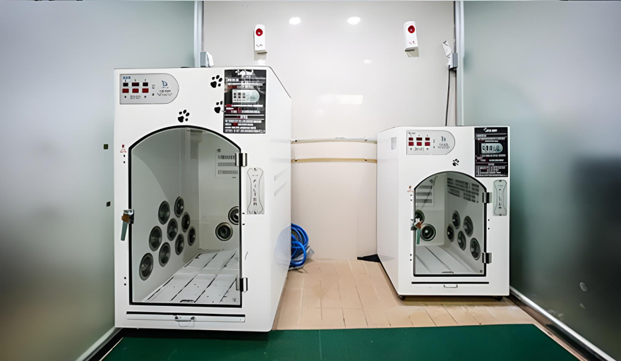 Others 3, Gold Family Condo & Pet Resort, Yongin