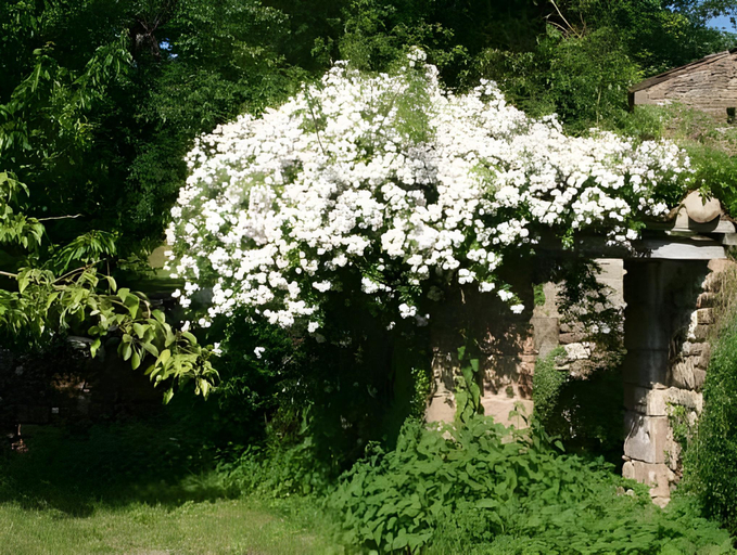 Others 5, Chateau Labistoul, Tarn