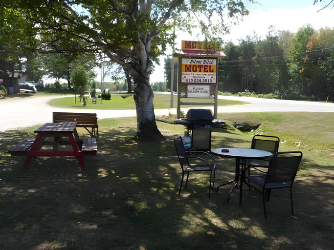 Others 4, The Silver Birch Motel, Huron