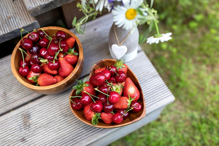 Others 2, Glamping Health Resort, Kamnik