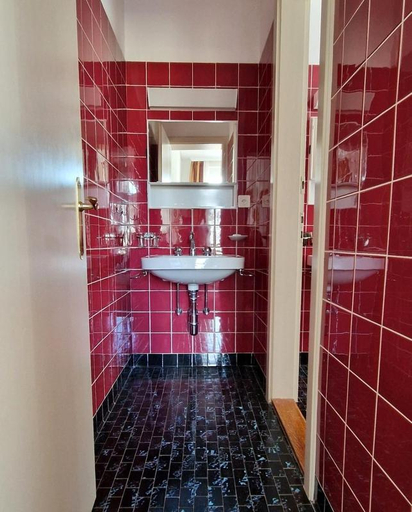 Bathroom 4, Soldanella, Maloja