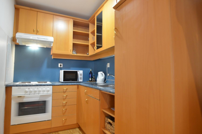 Kitchen 2, Apartments Vektor Vila Golf, Rogaška Slatina