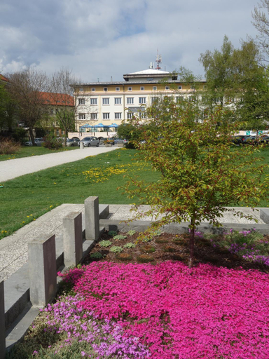 Others 5, Life Hostel Slovenia, Radovljica